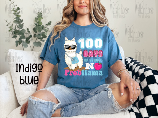 100 Days of School No Probllama Tee