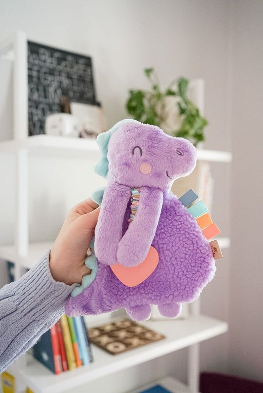 Itzy Friends Itzy Lovey™ Plush with Silicone Teether Toy  Dempsey the Dino